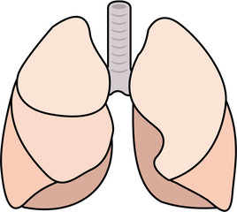 Lungs - flat colors, black line