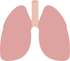 Lungs - icon, 2-color flat fill