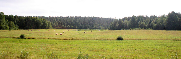 Природа Карелии.