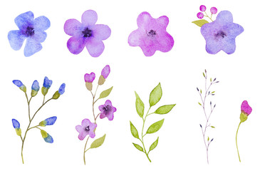 Obraz premium Set of flowers elements. Hand drawn watercolor illustration 