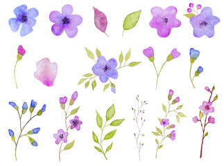 Set of 17 flowers elements. Hand drawn watercolor illustration 