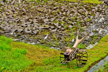 Handheld motor plow in a rice field. Ubud, Bali, Indonesia.