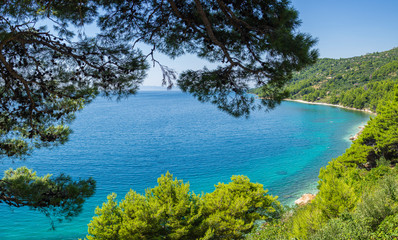 Fototapeta na wymiar Paisaje idílico enmarcado en verde en la costa croata, en verano de 2019