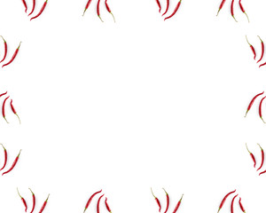 Chilli pepper, border template. Decorative frame of cayenne pepper isolated on the white background. Illustration with copy space.