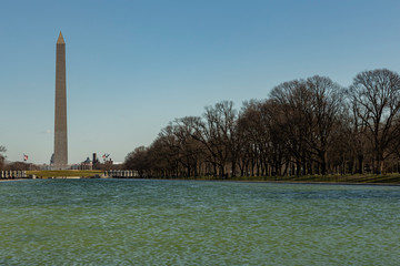 Obraz premium washington monument in the afternoon