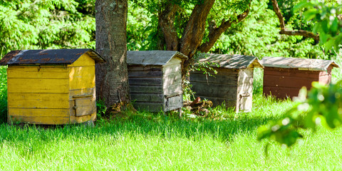 group of wooden hives standing in row on meadow