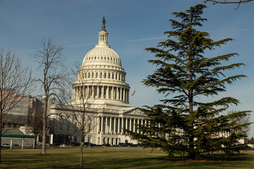 Fototapeta premium American Congress Building in the afternoon
