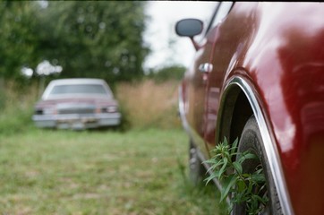 antique muscle