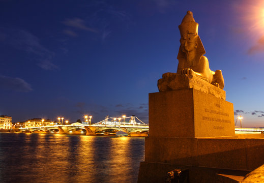 Sphinxe in St. Petersburg on the embankment of the Neva river in front of the Academy of fine arts and the Blagoveshchensk bridge as background at night