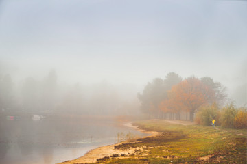 Autumn trees and forest lake in the morning fog.