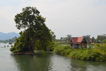 Fototapeta na wymiar Bamboo cottage in a little island of the Mekong River, The Si Phan Don.