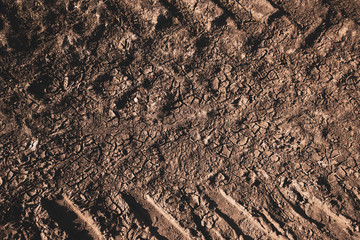 ausgetrocknete Reifenspur eines Traktors