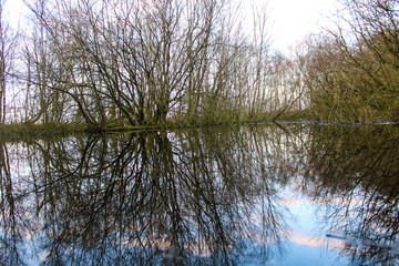 Obraz premium See der spiegelt