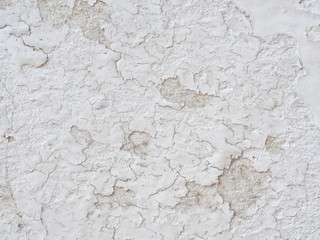 Fototapeta premium Ditry white old painted wall peeling off cause by low quality paint that has inadequate adhesion and flexibility,Over thinning the paint or spreading it too thin. Poor adhesion of the underlying coats