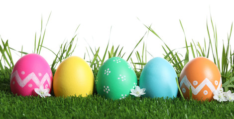 Colorful Easter eggs and flowers on green grass against white background