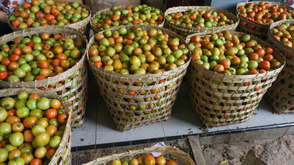 fresh tomatoes in a market. fresh vegetables in a basket. 