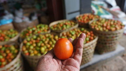 tomatoes vegetables on the market