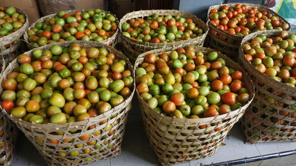 basket of tomato vegetables in a market. fresh vegetables in a basket. 