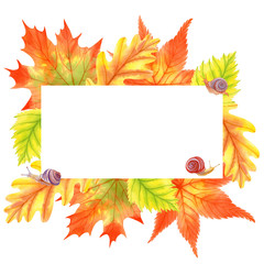 Autumn season banner. Greeting card with  hand drawn watercolor fall leaves. Modern design poster with watercolor colorful foliage of yellow, orange and red color.