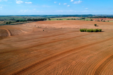 aerial view of baby peanut plant on field in Brazil