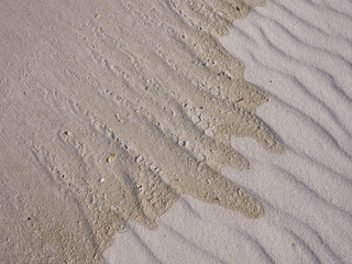 Wave wet and dry sand converge on an empty beach on New Jersey's Island Beach State Park
