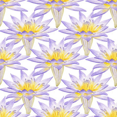Fototapeta na wymiar Seamless pattern with colorful water lily. Watercolor with purple water lily for background, texture, wrapper pattern, web design.