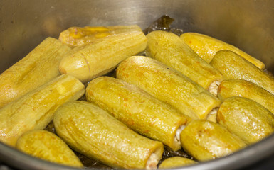 stuffed grape leaves and zucchini.