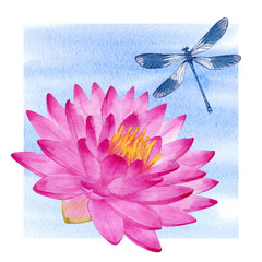 Watercolor Illustration of pink water lily  and dragonfly. Elements for design of invitations, movie posters, fabrics and other objects.
