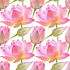 Fototapeta na wymiar Lotus watercolor illustraton isolated on white background. Seamless pattern with colorful lotuses.