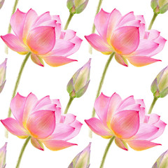 Obraz na płótnie Canvas Lotus watercolor illustraton isolated on white background. Seamless pattern with colorful lotuses.
