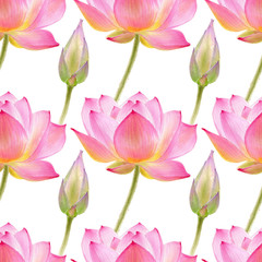 Lotus watercolor illustraton isolated on white background. Seamless pattern with colorful lotuses.