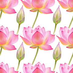 Fototapeta premium Lotus watercolor illustraton isolated on white background. Seamless pattern with colorful lotuses.