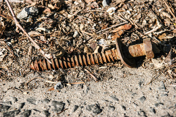 old rusty screw 