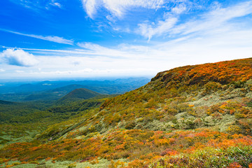 日本　栗駒山全山紅葉　神の絨毯