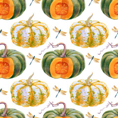 Pumpkin with dragonflies watercolor illustrations isolated on white background. Seamless pattern with colorful Pumpkins.
