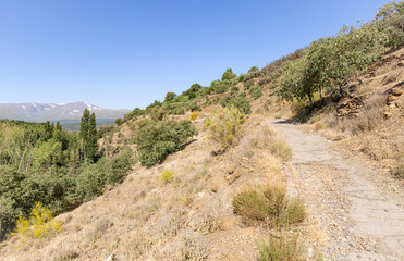 Fototapeta na wymiar a country road approaching Jerez del Marquesado town and a view of Sierra Nevada, province of Granada, Andalusia, Spain
