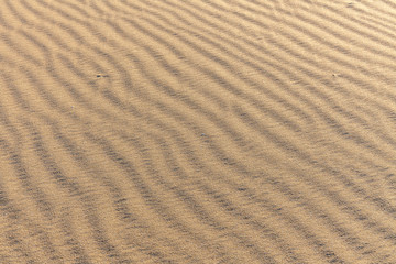 Sand Texture. Background from fine sand. Sand background. selective focus