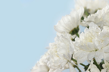 Abstract spring floral background, banner, minimal holiday concept. Greeting card for mother's day, happy birthday, wedding, gift for loved ones, place for text,