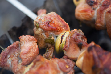 Tasty juicy meat with grilled onion rings outdoors. Street food festival.