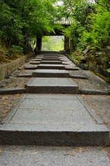 高台寺,京都市,東山区,建仁寺,臨済宗,東山,寺社仏閣,勅使門,門