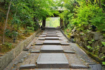 Obraz premium 高台寺,京都市,東山区,建仁寺,臨済宗,東山,寺社仏閣,勅使門,門
