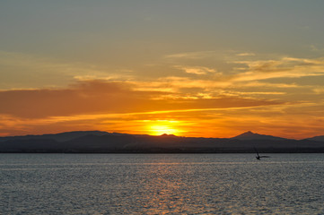 Sunset at pier in the Natural Park of the Albufera in Valencia