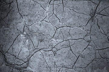 The background of the grey of old concrete from the cracked lines, the texture of the concrete