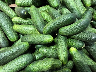 Tomatoes and cucumbers