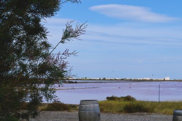 Les salins de Gruissan.