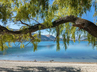 Lake Wakatipu, Queenstown, New Zealand