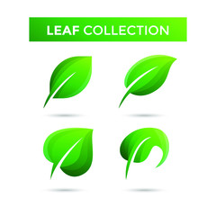 set modern leaf logo vector illustration