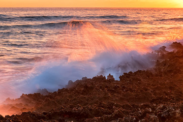 Amazing splash of seawater at sunset on coral rocks. Caribbean Cuba