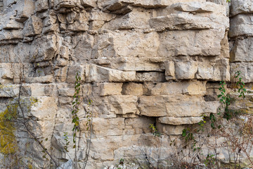 Niagara Escarpment dolomite, Silurian outcrops, High Cliff State Park, WI.