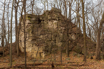 Niagara Escarpment dolomite, Silurian outcrops, High Cliff State Park, WI.